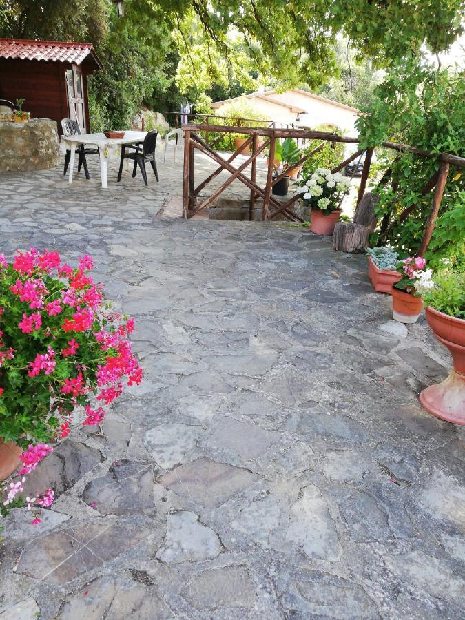 Villino Rosi Villa Monteverdi Marittimo Ngoại thất bức ảnh