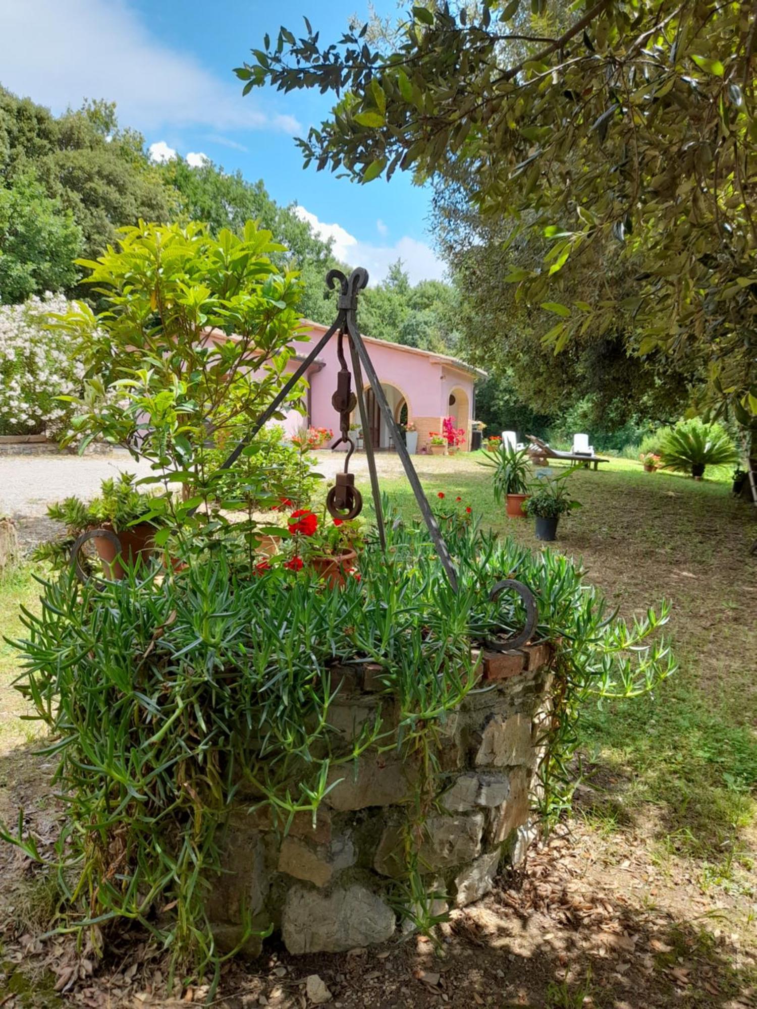 Villino Rosi Villa Monteverdi Marittimo Ngoại thất bức ảnh